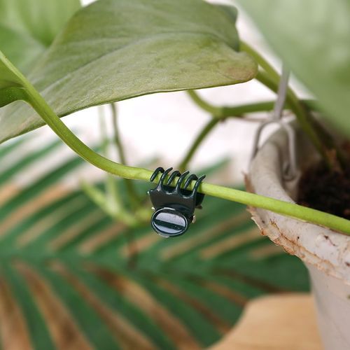 Orchid clip, traceless branch holder, indoor vine clip, grab hook artifact, plant green radish growing upward, butterfly clip