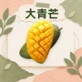 越南新鲜香甜原料青芒果