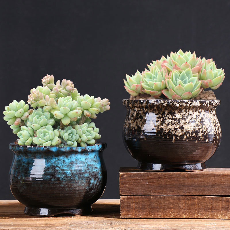 Qunsheng suculentas maceta arcilla de gran diámetro balcón hogar planta carne cerámica especial fábrica al por mayor directa