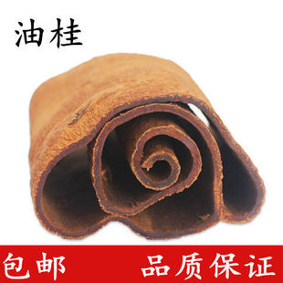 ��ș�� ���͹��� �͹� �ٹ� �����]