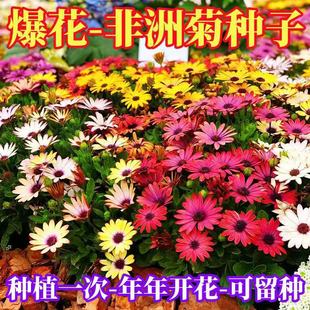 �Ϸ��f�۾շN���{Ŀ�ջ��N�����ͺ����޾ջ����ļ��׷N�׷��ϻ�ɫ