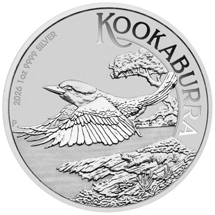 �¼��y1:1�����y��1oz����żo��Ӳ��2026���Qebay�y��  ���F����