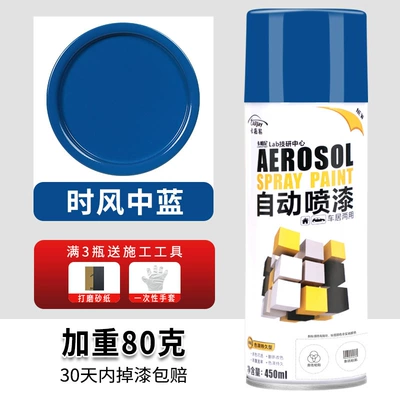 Avtomobil boyası: black silver paint can - blue-in-the-wind-when-220-450ml