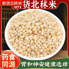 ������ș��500g�˱�����������Ŵ���SŴŴ�����۾���޲���ʳ�С��