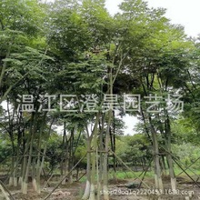 �ɶ����l���NҎ������䡶�u�X�䡷�L���ṩ��Ʒ�N�������辰