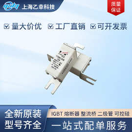 巴斯曼熔断器 170M1730 170M1731 170M1732 170M1733 170M1734