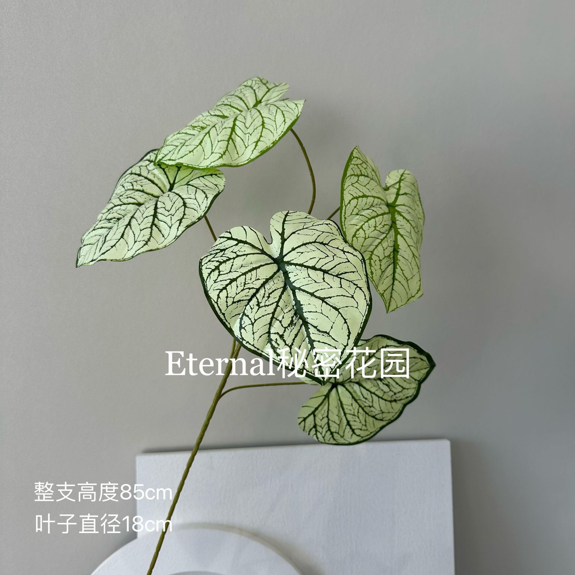 대형 Caiyu 잎 흰색 녹색