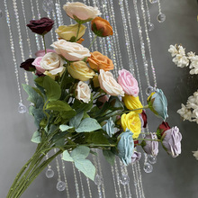 �Lֻ5�^����õ �Ҿӻ�c�bzӰ���߼ٻ��Ƶ��Yܛ�b����õ�廨