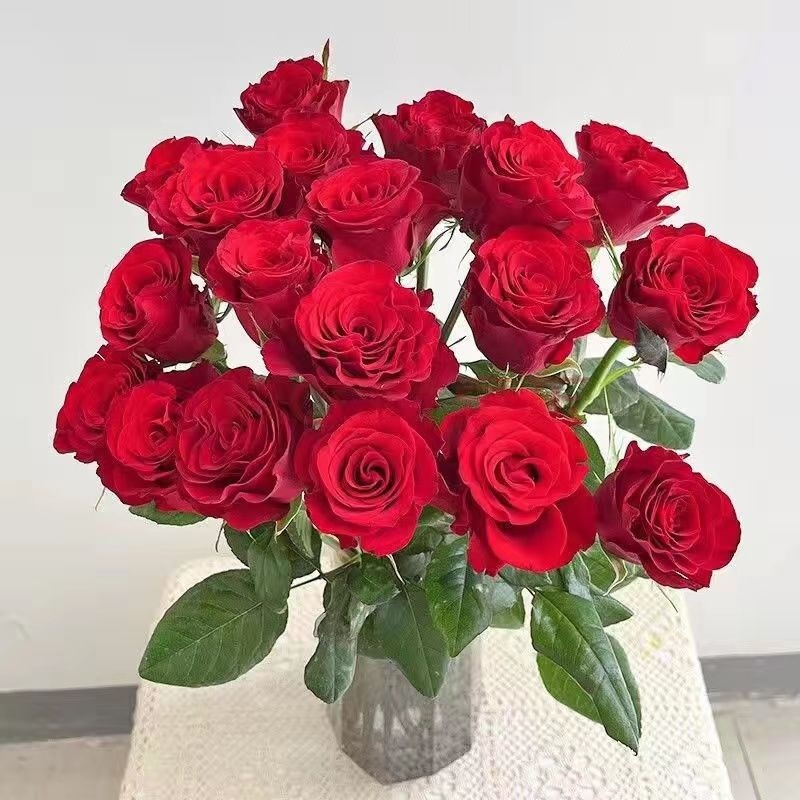 4752f532-a5e1-43c6-b047-6e55a3222b89.jpe