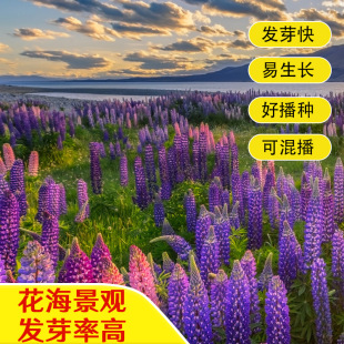 �������N�����ȶ����ܷN���^�p�׷N�̨���������ͺ����^����ͥԺ