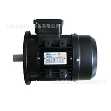 1.5KW MS2 90S-2 B5 ��� RL/RS/RLS100ȼ����ר�� Riello����·