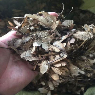 �²����Ǘ��N�� ����N�����������~��ľ�@�־G����N��