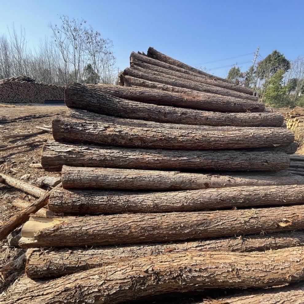 f8d461b3-4678-4a7c-a626-1d5924c4704c.jpe