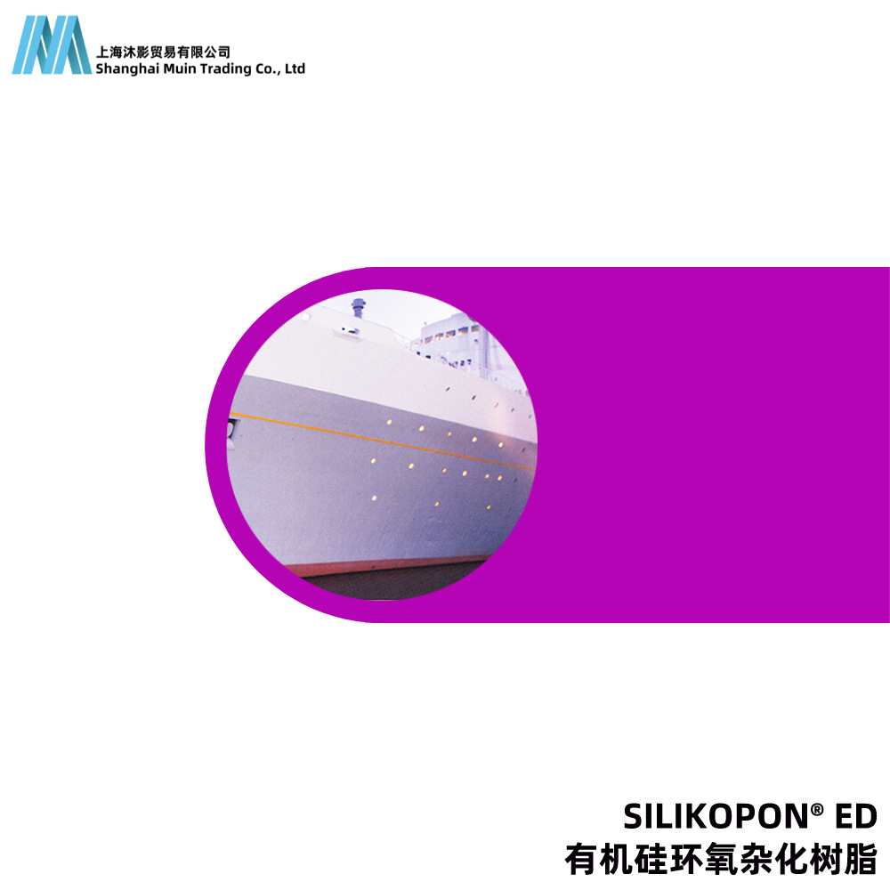 SILIKOPON ED 适合高固体含量涂料 有机硅环氧杂化树脂 赢创迪高