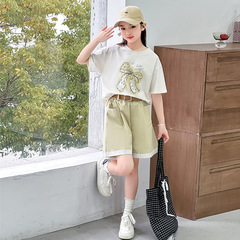 女の子半袖スーツ 2025 新しいファッションストライプ Tシャツとジーンズ 2 点セット中大子供夏薄手