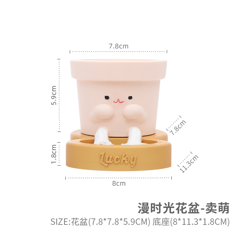 Chậu cây tự tưới tự hút nước, chậu cây mọng nước mini, chậu mặt cười trang trí nhà (RG-149)