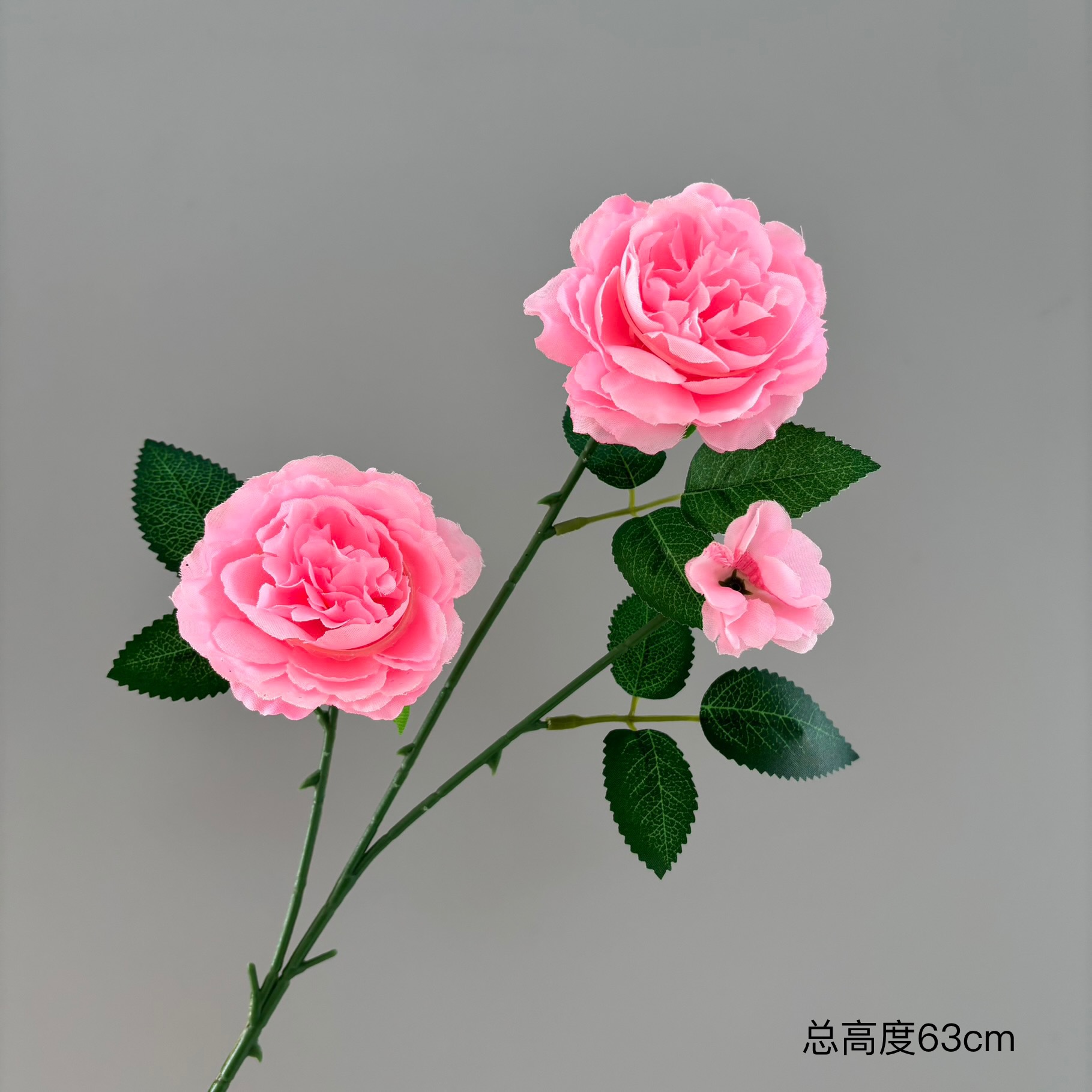 분홍색