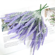 �羳TUME����5��ֲ�q޹�²� ��@�L��c���滨ֲ���b����ϼٻ���