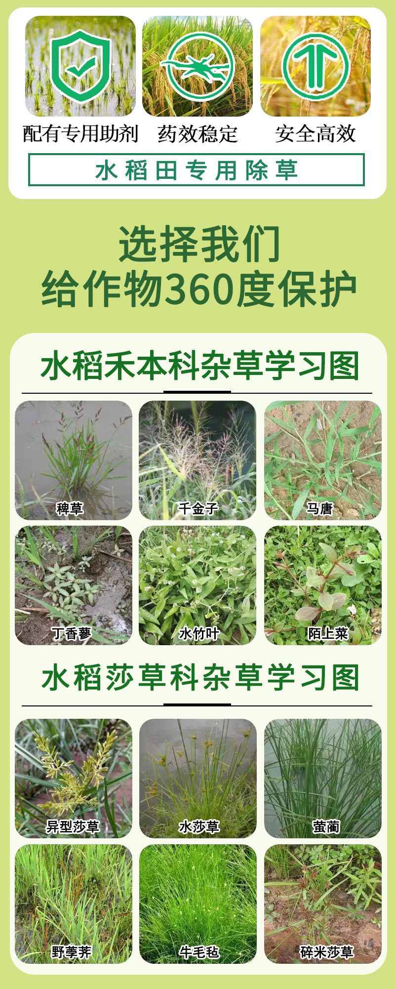 fc209851-5b0d-48c3-a567-1eabd7