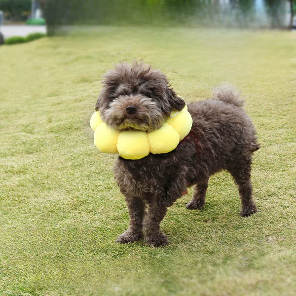 Cross-border pet Elizabeth collar sunflower cotton-filled collar cat dog anti-licking and biting head cover beauty collar
