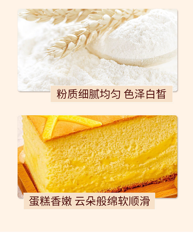 9081d723-a81e-4693-8ee2-406a5a445bcb.jpe