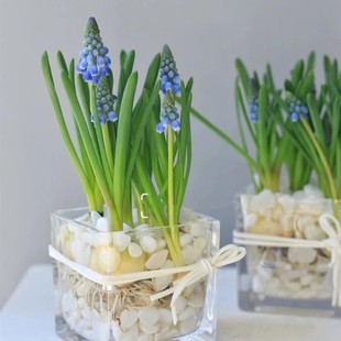 10�w�M�������L���ӷN�����Bˮ�������ļ��̨���ܰٺϷN�Ӷ�����