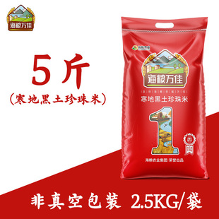 ���Z�f��������10���L�����׈A�������ז|�����׮�������1����5kg