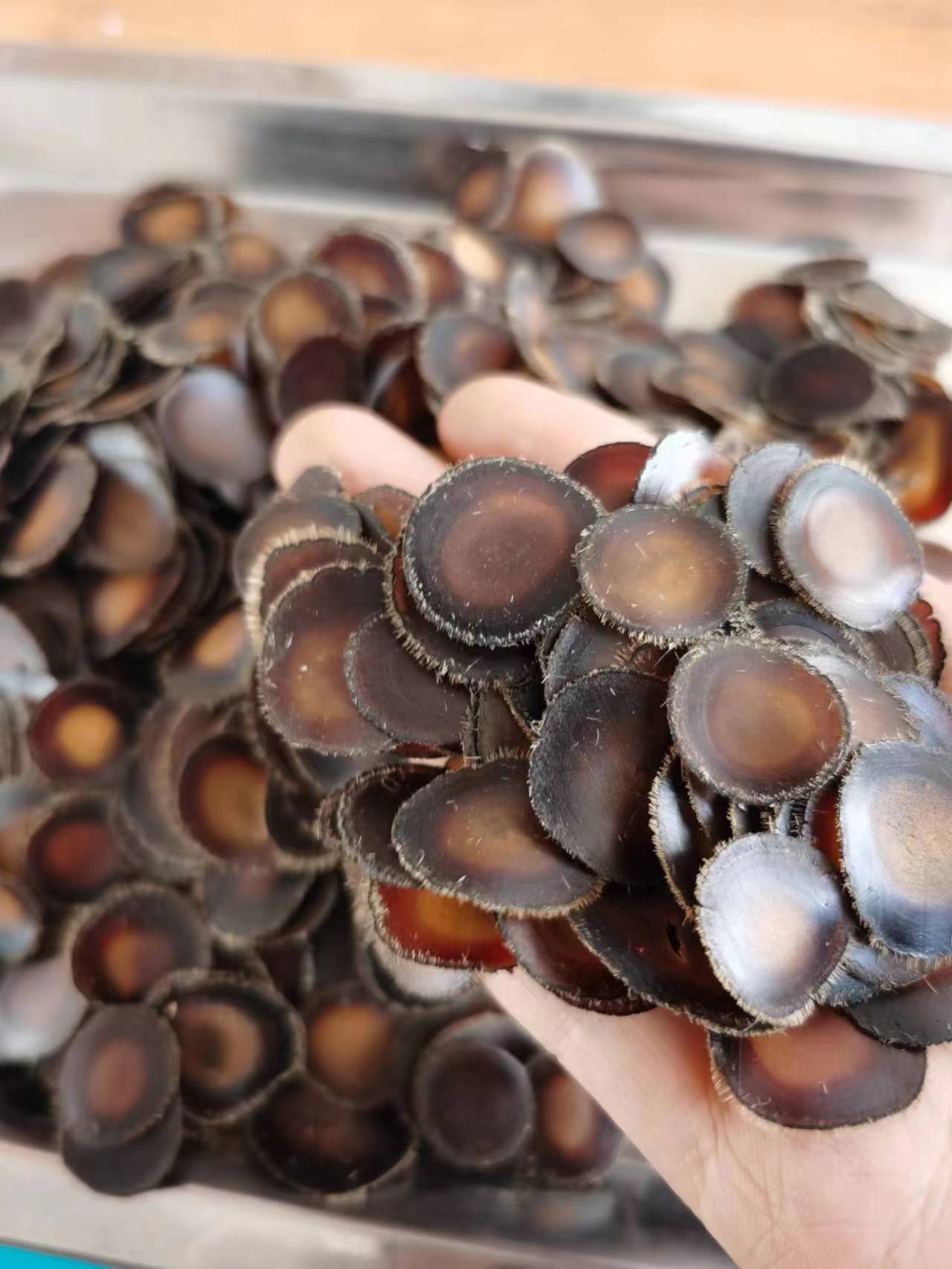 微信图片_20230320090719