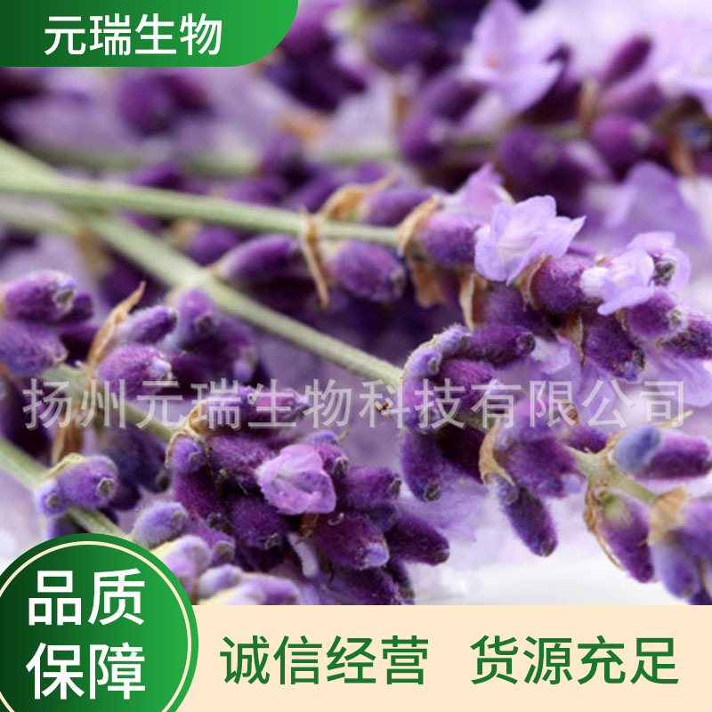 厂家供应薰衣草提取液薰衣草萃取液化妆品护肤品原料薰衣草提取液