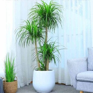 ��Ѫ�������p�����Ӵ�����횘��҃��k���҃����՚���B�����ֱ�l