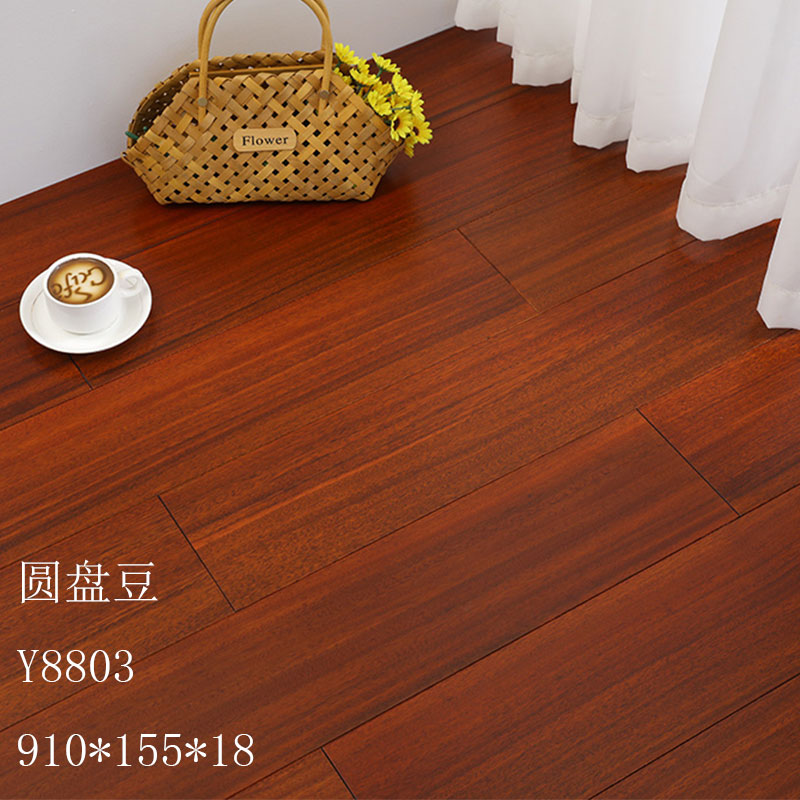 부르고뉴 디스크 콩 Y8803