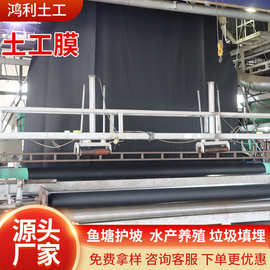 HDPE土工膜鱼塘养殖用黑膜隧道垃圾填埋场防渗衬垫化粪池土工膜