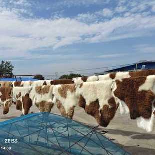 ������Ƥ�h���|��ë��̺Ƥëһ�wɳ�l�|���ÿ͏d�|�������̨̺��