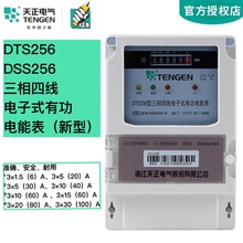 TENGEN����DTS256��ӱ�DSS256���������ľ����ʽ�й���ܱ�����