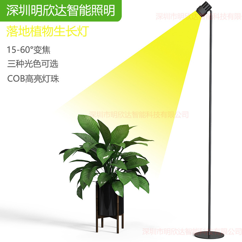 Green Plant Sun Lamp, Plant Growth Lamp, Floor-Standing Succulent Fill Light, Imitation Simulated Sunlight, Full Spectrum Indoor Lamp