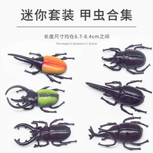 严选中甲虫仿真昆虫模型甲壳虫独角仙沙皮胶整蛊玩具恶搞六一玩具