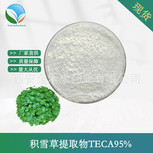 积雪草提取物TECA95% 积雪草苷 苷元羟基积雪草酸 84696-21-9现货