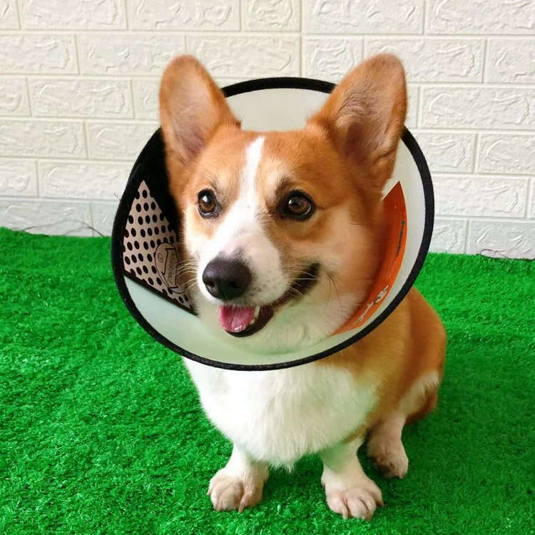 Собака Elizabeth Circle Поставки для домашних животных Koji среднего размера собачий косметический чехол анти-облизывание кошки водонепроницаемый анти-укусы собаки защитный головной убор