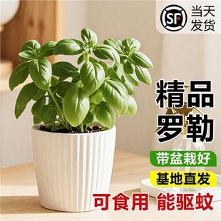 ���M����~���_�������𲻓Q�Ō����N���ļ��߮a�̨���Ԏ�����