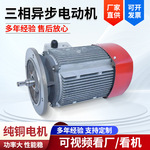 三相异步电动机直连电机四大系列电机感应电机减速机电机