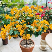 �S������÷�������Ժ��B��ͥԺ�̨���B�������Ϙ��ذ�G�ļ�����