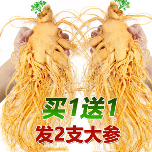 ���x�L��ɽ�r�˅��Ҝ��ݾ����aƷ���˸ߠI�B��Ʒ�|��֦��