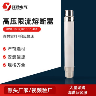 XRNP-10(12)KV  0.5-3.15A(�մɹ�)�߉������۔������U���մ��۹�