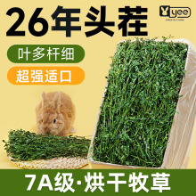 烘干紫花苜蓿草干草兔子粮草牧草幼兔提摩西草龙猫豚鼠食用草用品