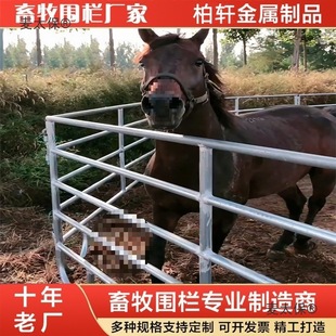 �R�������R�gِ�����Ƅ�ʽ�o��ţ��ř��Rƥ�{��Ȧ��\䓹���̫��