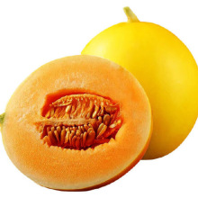 ���C�����۹����r����S���۹�ɳĮ�S���۴����t��