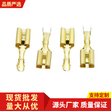 SֱNrÇFىӶ~ĸ^^ӾñӾ