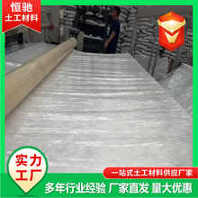 一布一膜复合土工膜蓄水池人工湖防渗两布一膜水库河道复合土工膜