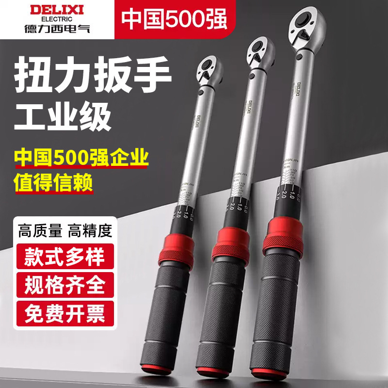 Delixi Electric High Precision Torque Wrench Preset Two-way Ratchet 72 Teeth Adjustable Kg Torque Wrench
