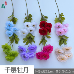 ǧ��ĵ�� ��֦¶ɏ ��Y�ÔzӰ�������û��ķ��滨 ��c�廨�ٻ�